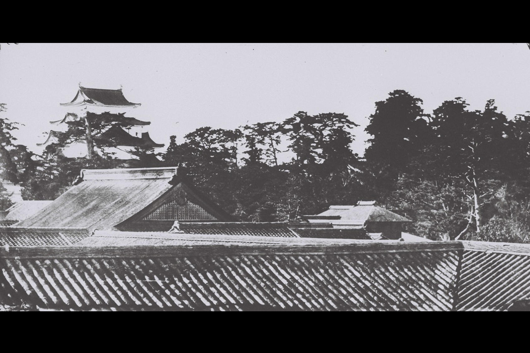 名古屋城二の丸御殿･天守写真