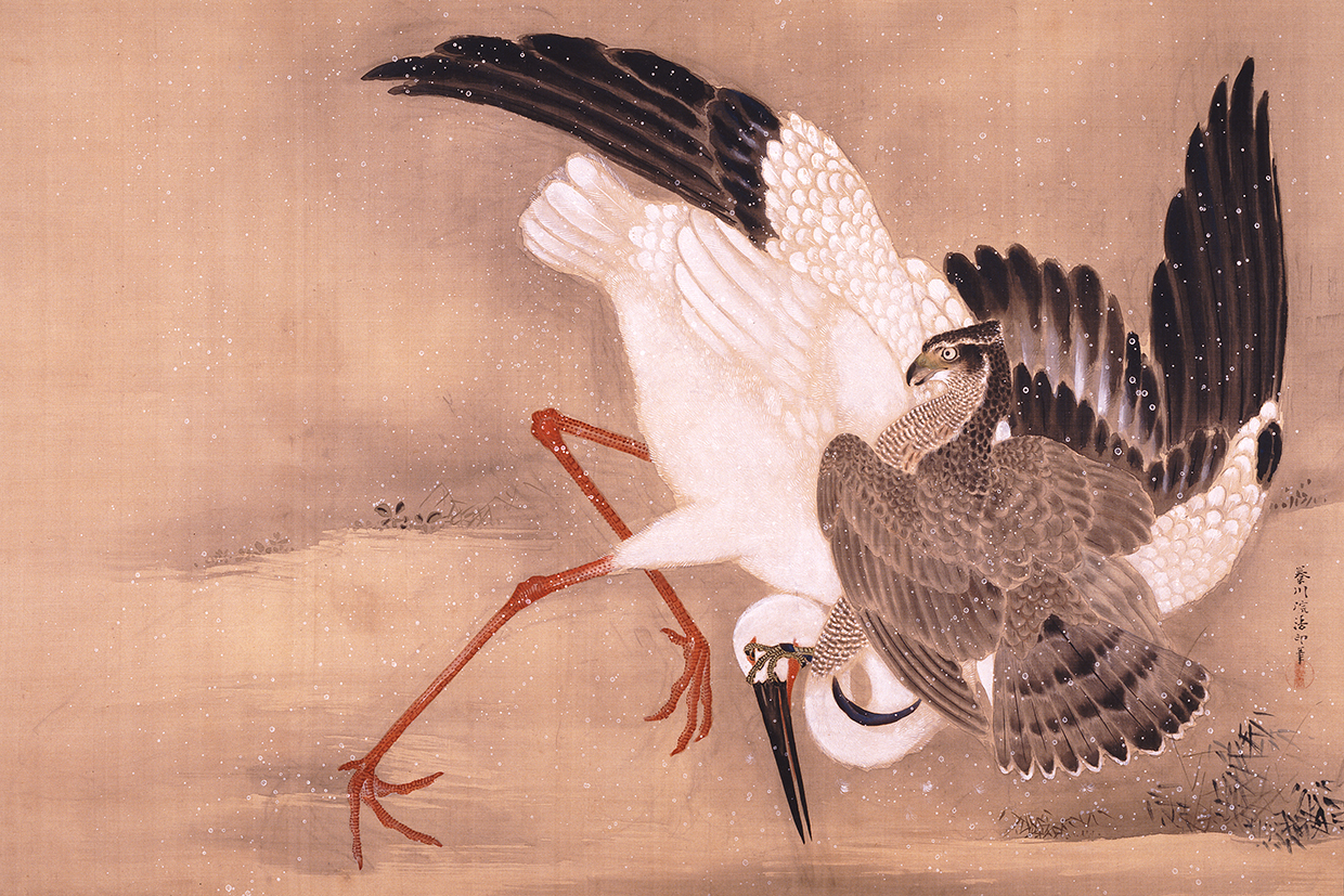 特別展「鷹のおでまし 特別展|展示案内|石川県立歴史博物館